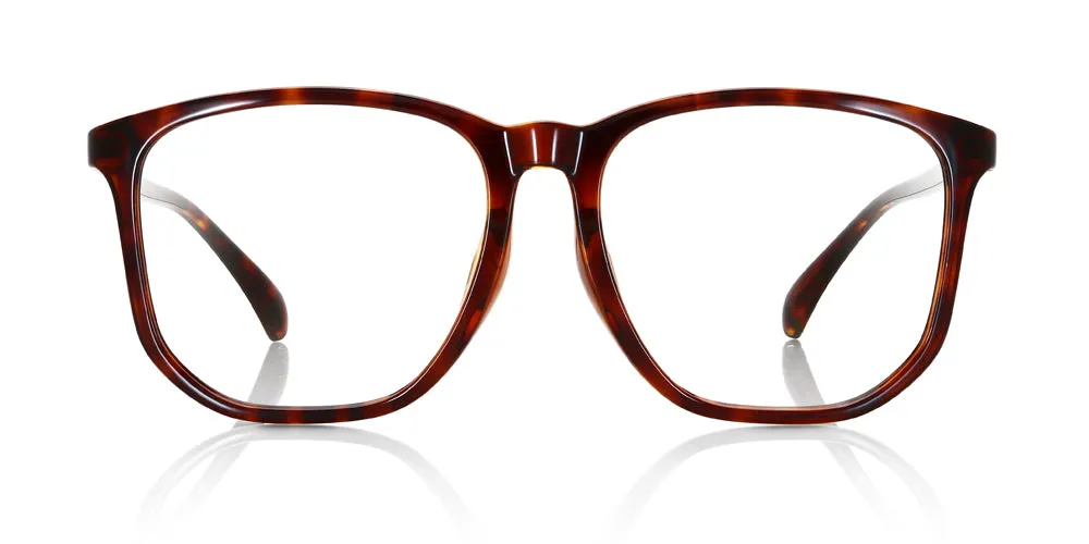 Airframe Oversized 028 386