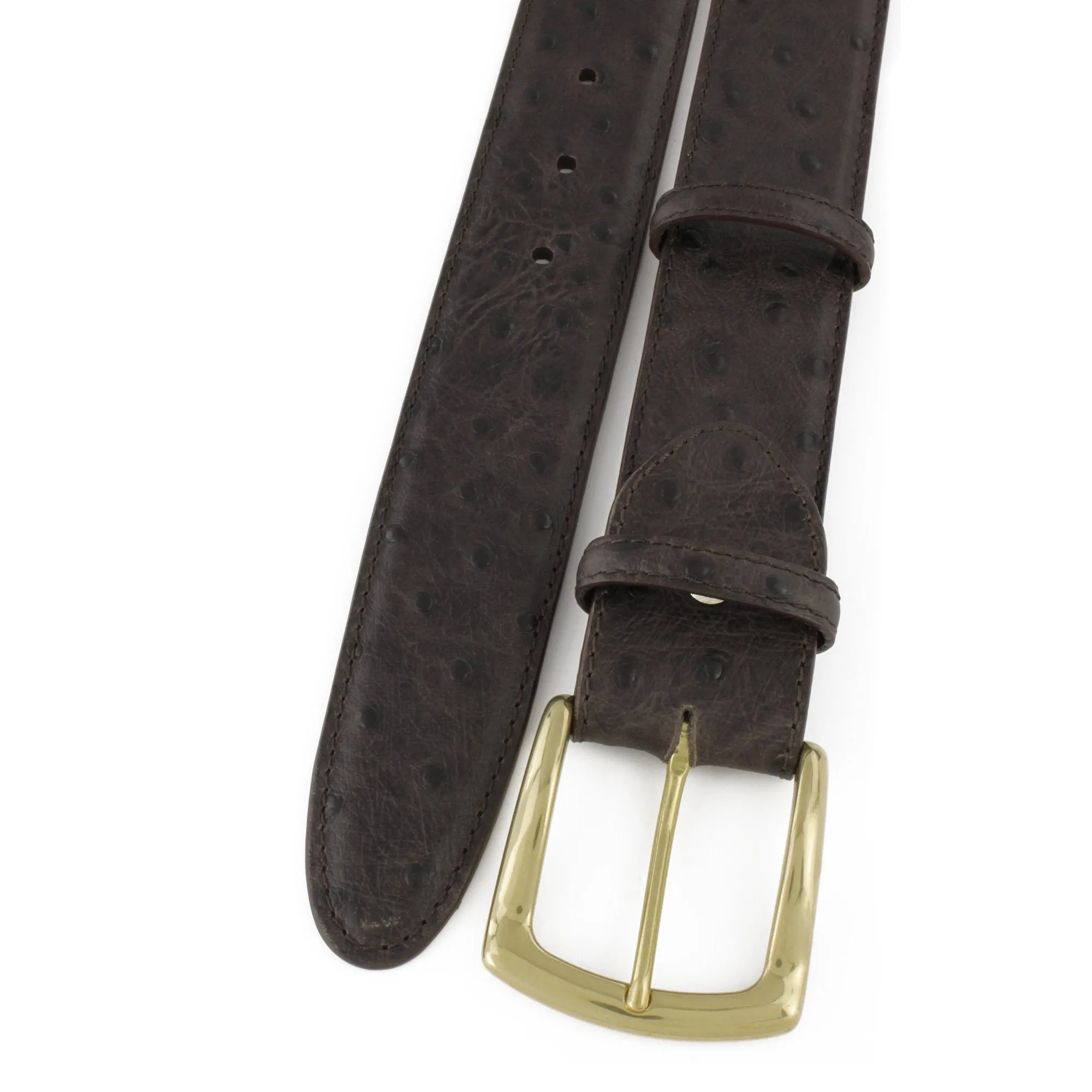 Dark choc mock ostrich quill belt with classic gold buckle
