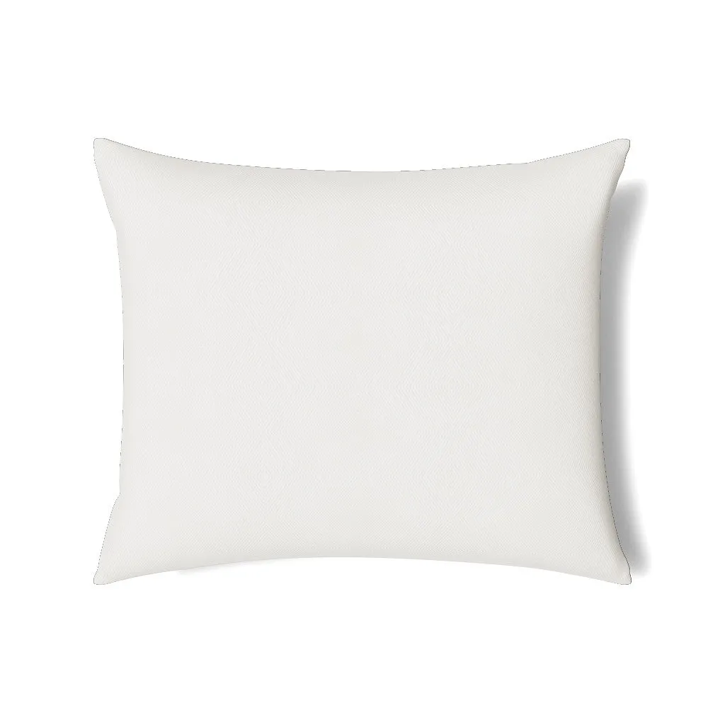 Vector Pillow