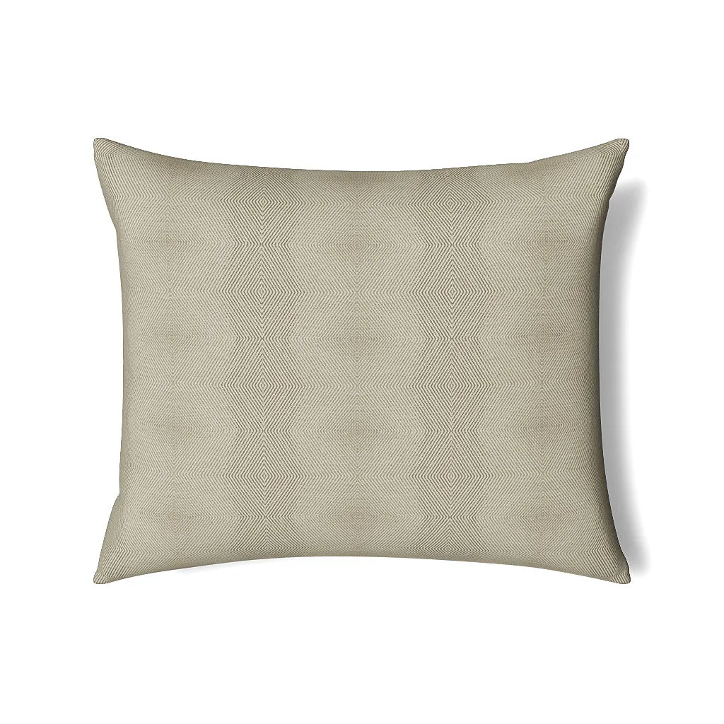 Vector Pillow