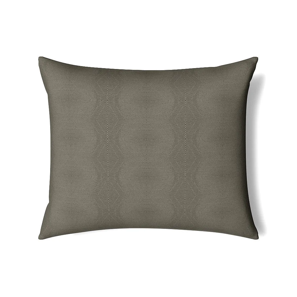 Vector Pillow
